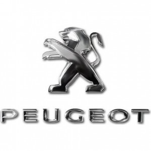 PEUGEOT 301 ARKA BAGAJ  KAPUTU-  PEUGEOT YAZISI   9678484680