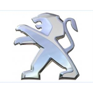 PEUGEOT 307 BAGAJ KAPUTU PEUGEOT-307-ASLAN ARMA  YAZI SETİ  