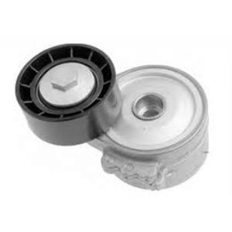 CİTROEN BERLİNGO 2 ALTERNATÖR GERGİ RULMANI KOMPLE      5751.94